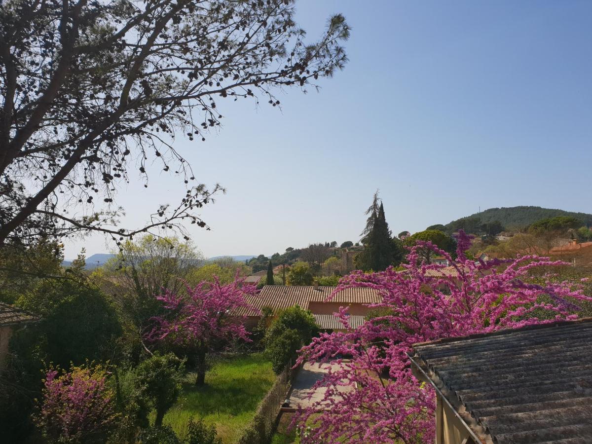 Appartement climatisé les Mimosas Les Arcs-sur-Argens Esterno foto